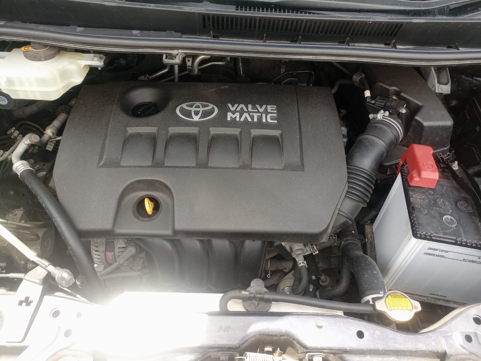 Toyota Esquire